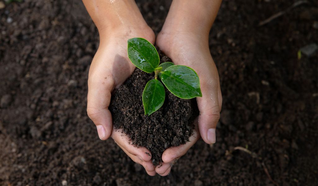 10 Things You Shouldn't Do When Starting Green Living