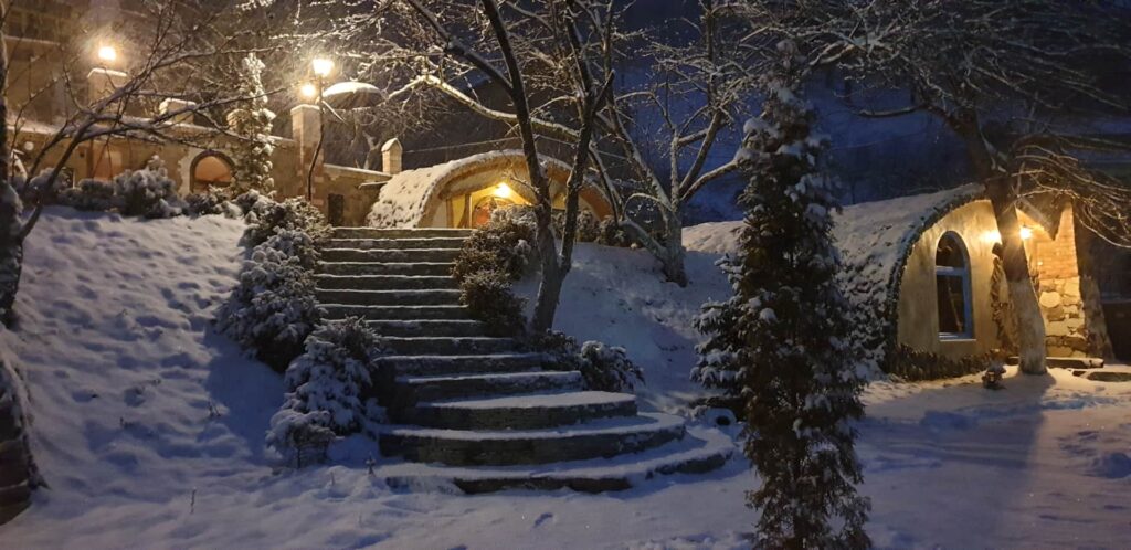 Cozy House