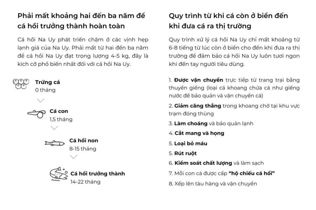 kiến thức về Cá hồi Na Uy