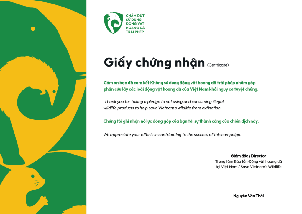 RỪNG LẶNG